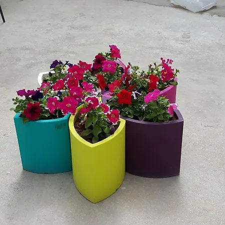 Apartamento Nonna Lina *