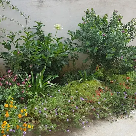 Apartamento Nonna Lina